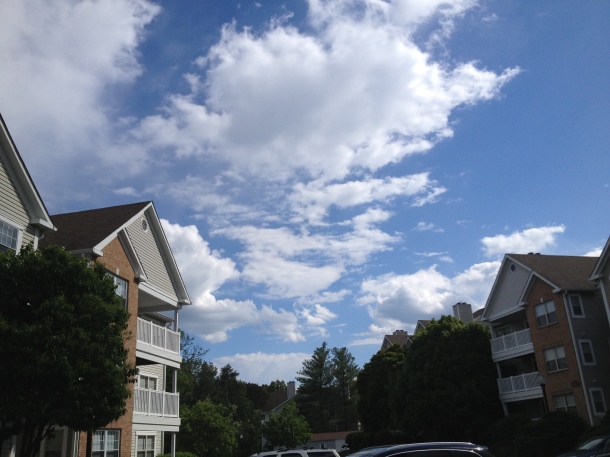 Bright skies of Centreville, Va., Monday, May 13, 2013. Photo taken by my iPhone 4S.